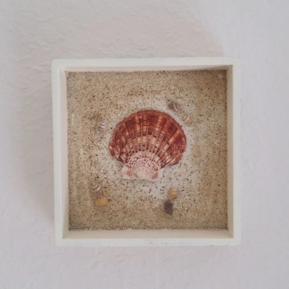 Beachy Shell Shadow Box Wall Art